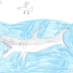Ilustrácia detského zážitku s motívom žraloka z plaveckých lekcií SWIM-FIT.